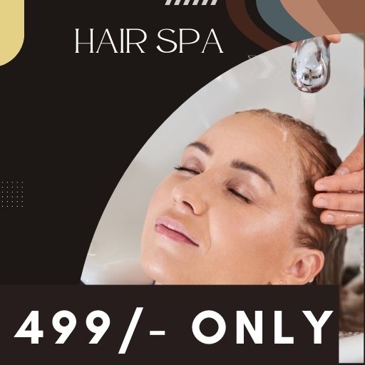 @ 499/- : Hair Spa